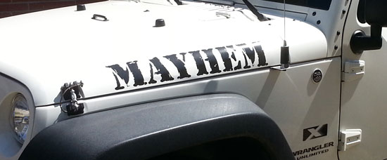 Custom Vinyl Decal Custom Vinyl Decal