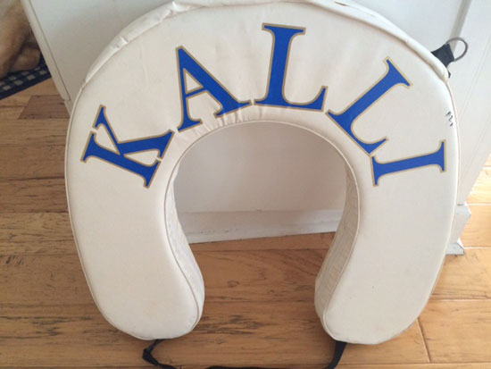 Custom Vinyl Life Preserver Custom Vinyl Life Preserver