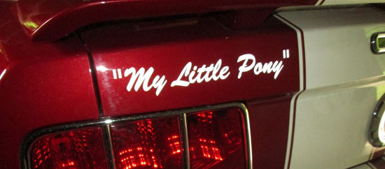 Custom Vinyl Lettering For Vehicle Custom Vinyl Lettering For Vehicle