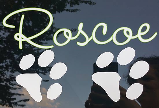 Custom Vinyl Decals For Vehicle Window Custom Vinyl Decals For Vehicle Window