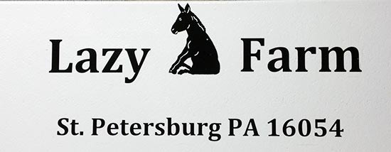 Custom Vinyl Logo For Trailer Custom Vinyl Logo For Trailer