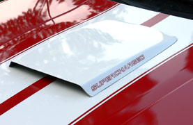 Custom Lettering for a Vehicle Custom Lettering for a Vehicle