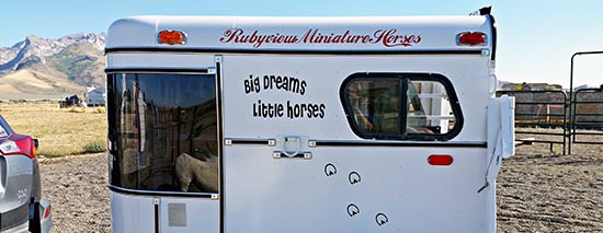 Custom Vinyl Trailer Lettering Custom Vinyl Trailer Lettering