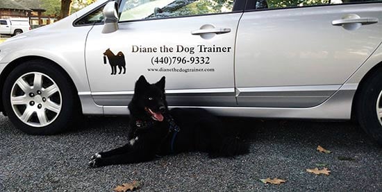 Custom Vinyl Decal For Car Custom Vinyl Decal For Car
