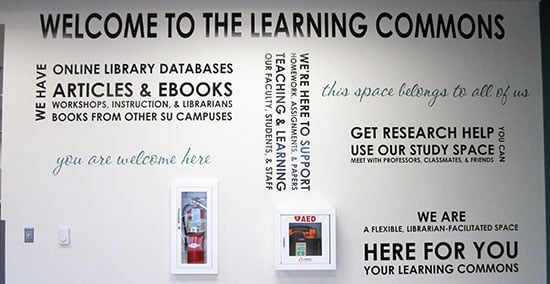 Custom Vinyl Wall Lettering Custom Vinyl Wall Lettering