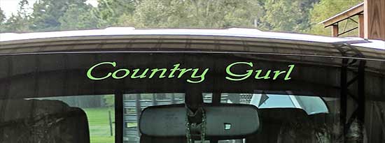Windshield Lettering Windshield Lettering