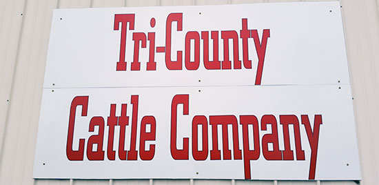 Custom Vinyl Lettering For Sign Custom Vinyl Lettering For Sign