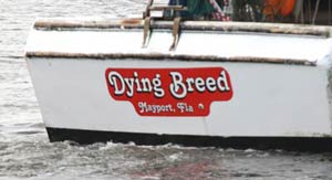 Custom vinyl lettering on a boat