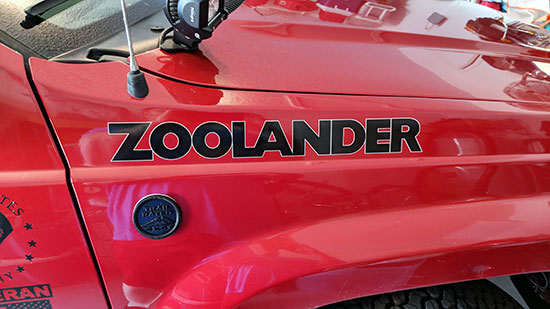 Custom Vinyl Lettering For Jeep Custom Vinyl Lettering For Jeep