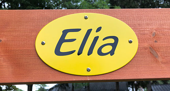Custom Vinyl Lettering Custom Vinyl Lettering