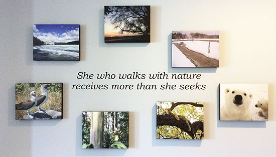 Custom Vinyl Wall Lettering Custom Vinyl Wall Lettering