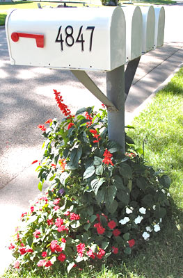 Custom vinyl numbers on a mailbox Custom vinyl numbers on a mailbox