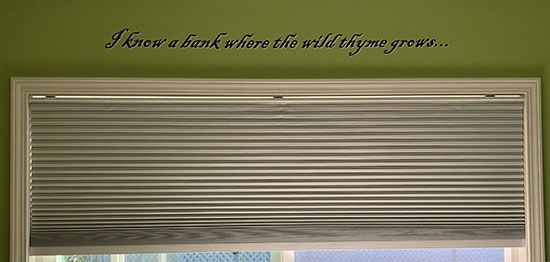 Submitted by: M. A. Katz, Portland, OR, USA - Font used: Blackadder Custom Vinyl Wall Lettering